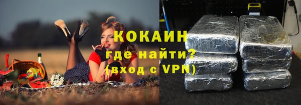 бошки Алексин