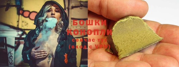 бошки Алексин