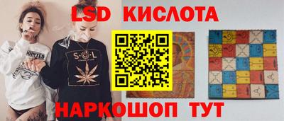индика Партизанск