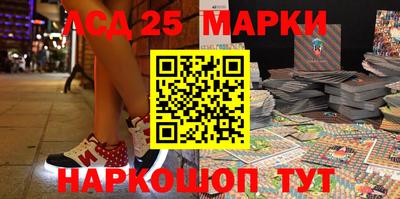 индика Партизанск