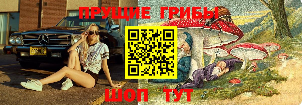 Псилоцибиновые грибы мухоморы  Вход с VPN  купить закладку  Галлюциногенные грибы Psilocybe  Шарыпово 